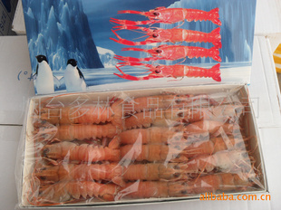 海水乳龙虾冷冻粗加工 品质与技术并重的水产品加工新路径