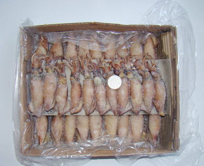 冷冻粗加工水产品 稳定供应熟冻糕鱿鱼与批量冷冻水产的优质选择