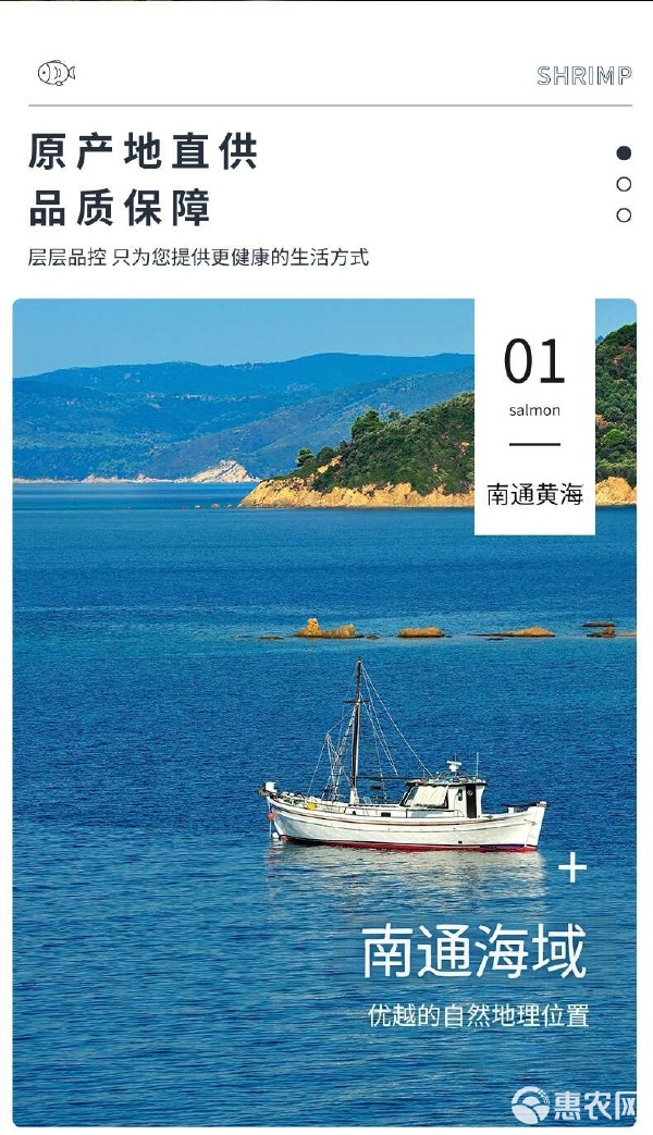 盐田大虾烤虾干 一颗海味的精致浓缩，解锁健康零食新风尚
