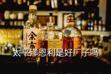 青岛制造的三重奏 从状元郎的密码到全球味蕾的答案